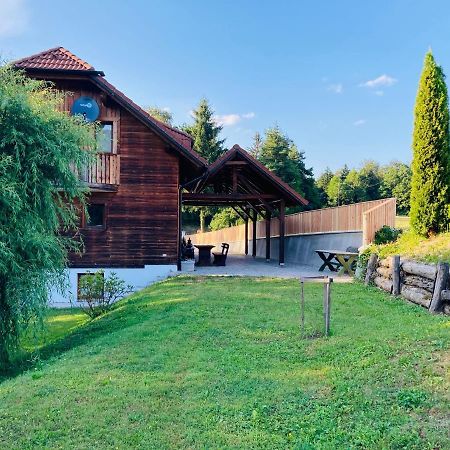 Villa Family House Mozirje Esterno foto